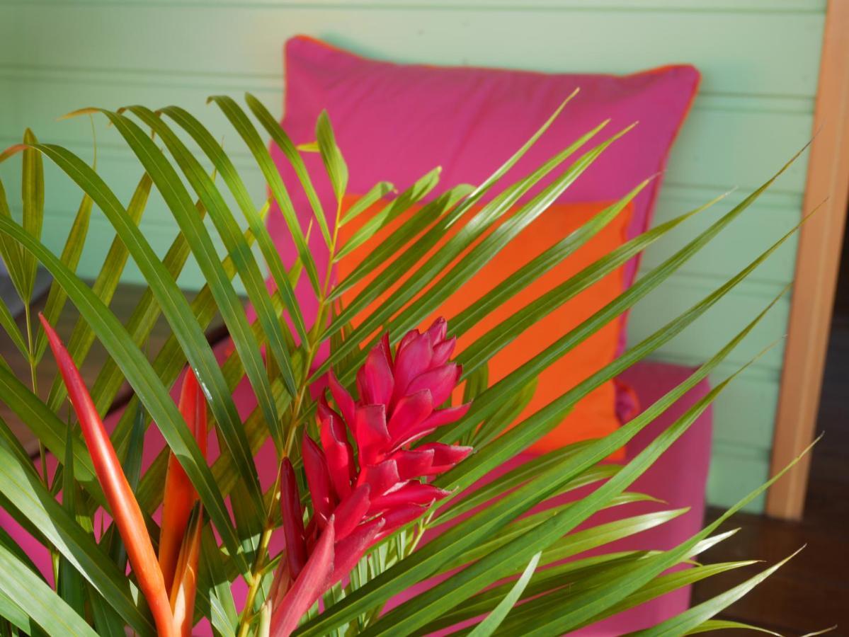 La Joupa Case Anthurium Sainte-Rose Zewnętrze zdjęcie