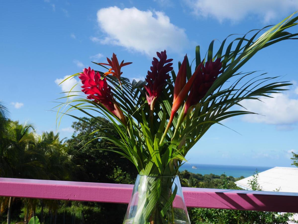 La Joupa Case Anthurium Sainte-Rose Zewnętrze zdjęcie